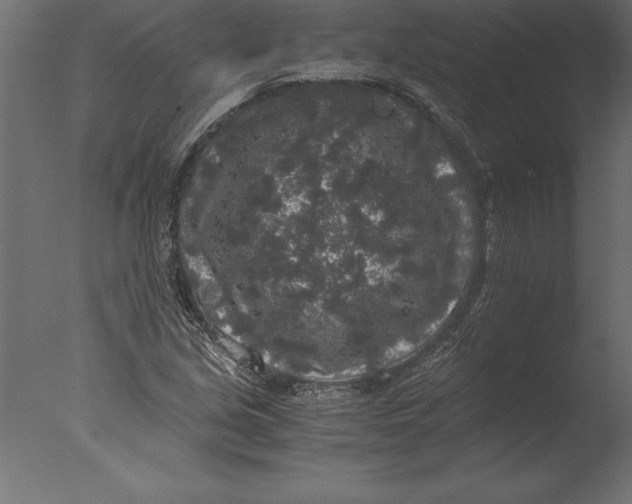 X0000076351213200610201751