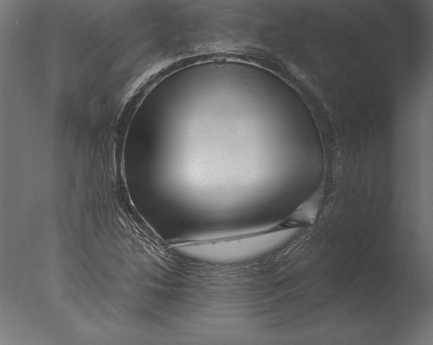 X0000076351214200610201751