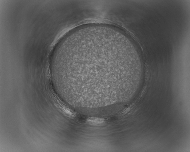 X0000076351215200610201751