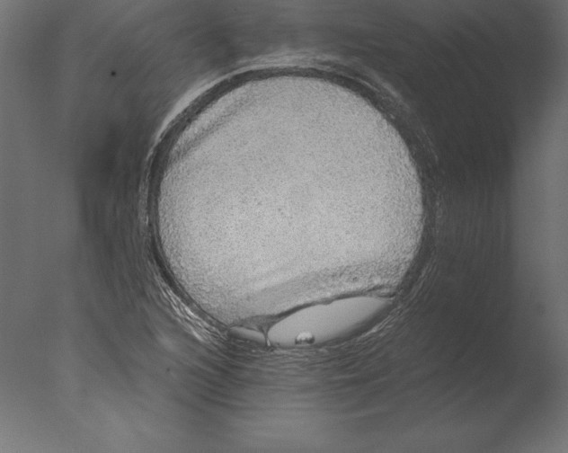 X0000076351216200610201751