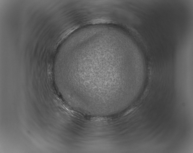 X0000076351217200610201751