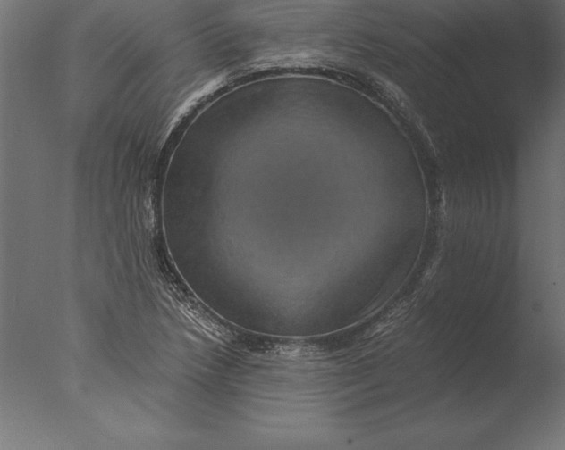 X0000076351218200610201751