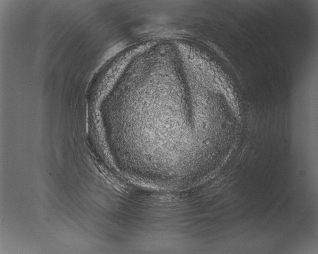 X0000076351219200610201751