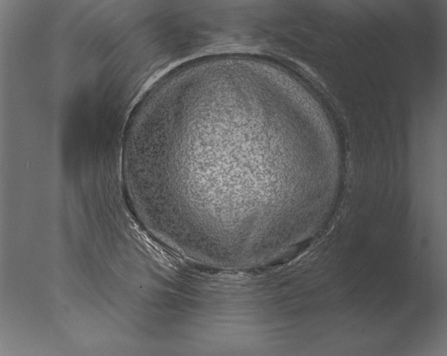 X0000076351220200610201751