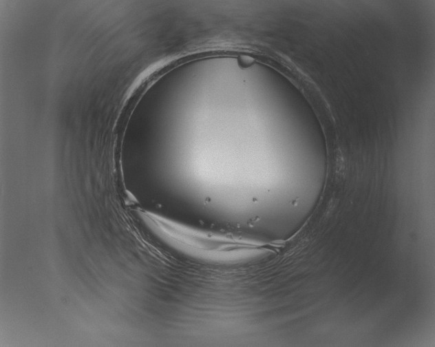 X0000076351222200610201751