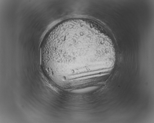 X0000076351223200610201751