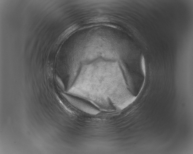 X0000076351225200610201751