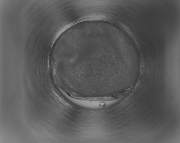 X0000076351226200610201751