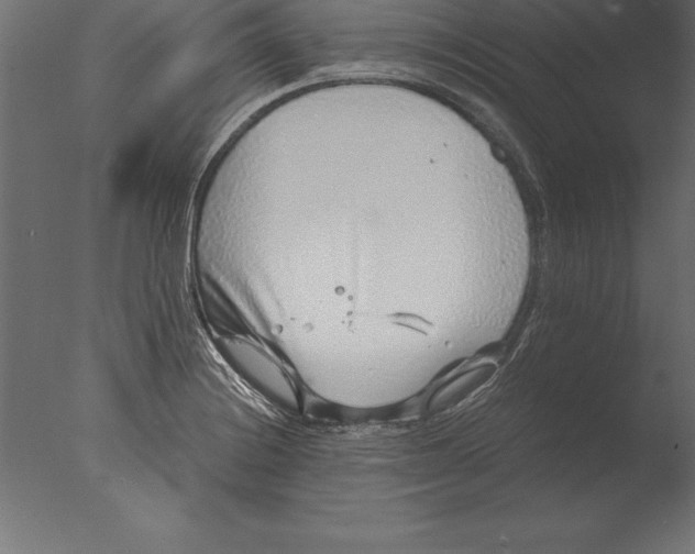 X0000076351228200610201752