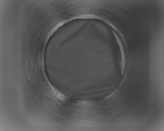 X0000076351229200610201752