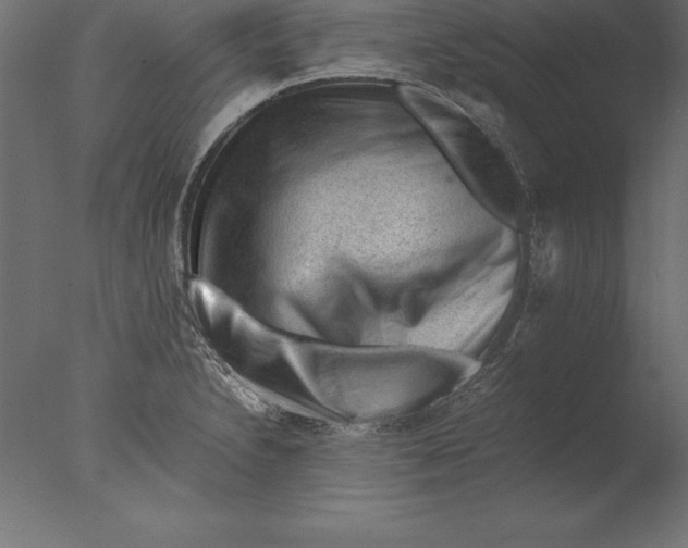 X0000076351230200610201752