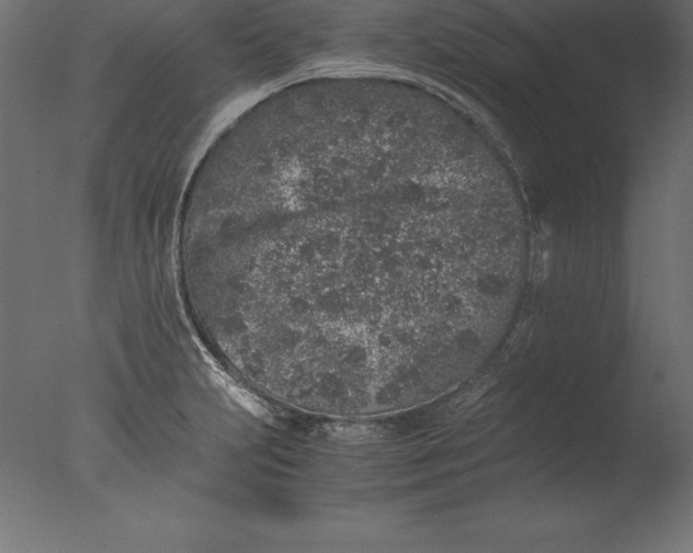 X0000076351231200610201752