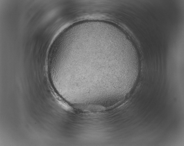 X0000076351232200610201752