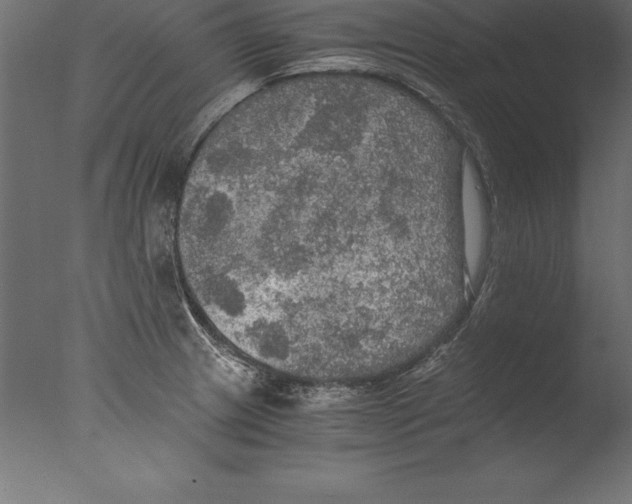 X0000076351233200610201752