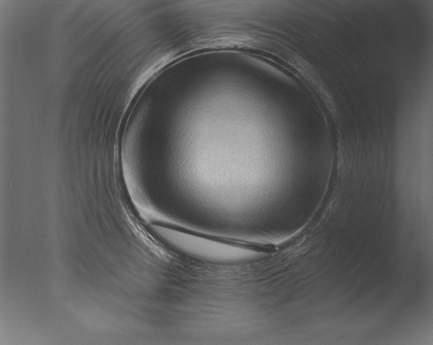 X0000076351234200610201752