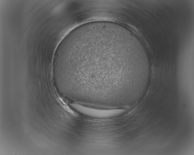 X0000076351236200610201752