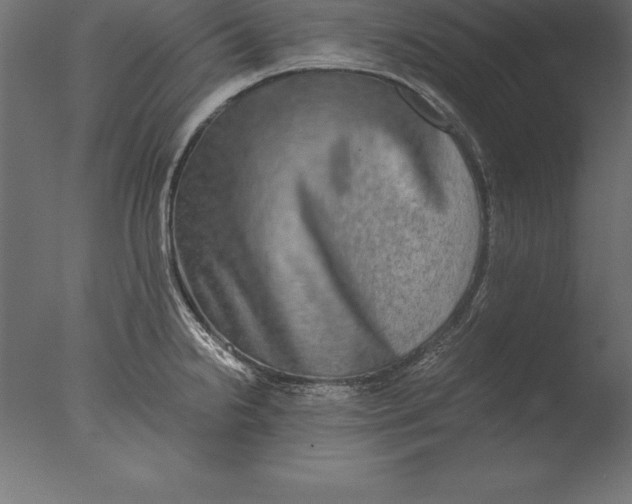 X0000076351238200610201752