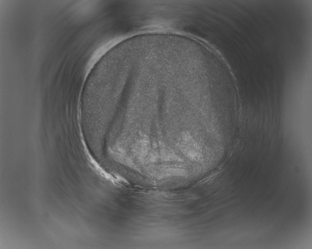 X0000076351239200610201752