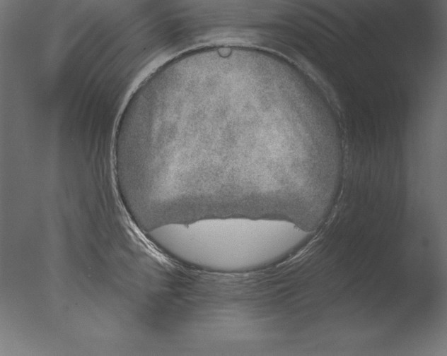 X0000076351240200610201752