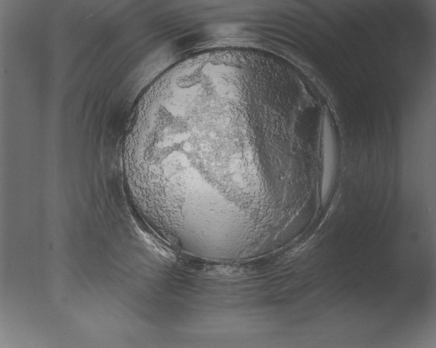 X0000076351241200610201752