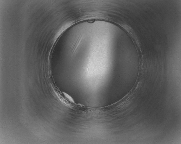 X0000076351242200610201752