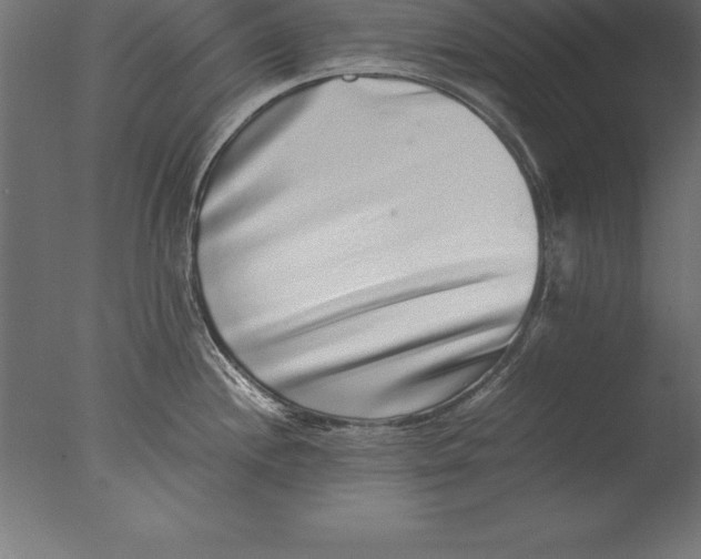 X0000076351244200610201752