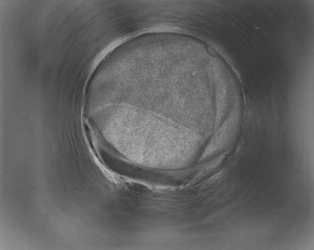 X0000076351245200610201752