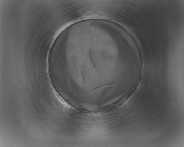 X0000076351246200610201752