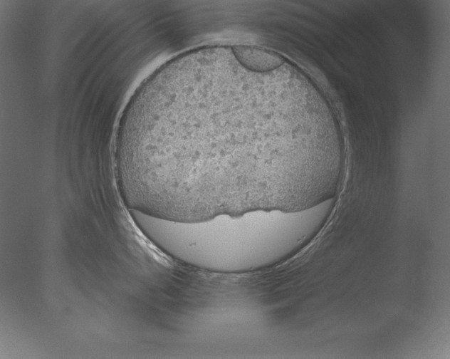 X0000076351248200610201752