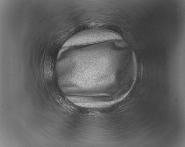 X0000076351250200610201751