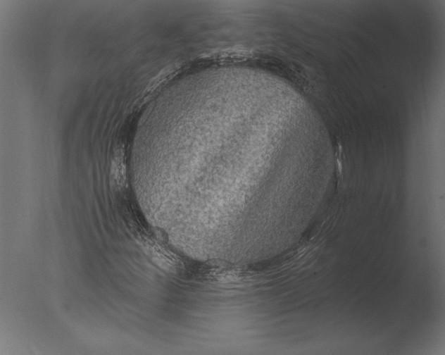 X0000076351252200610201751