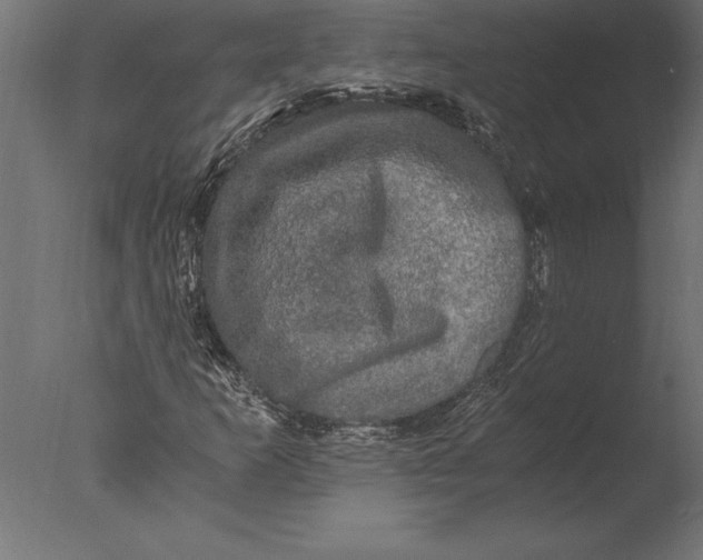 X0000076351253200610201751