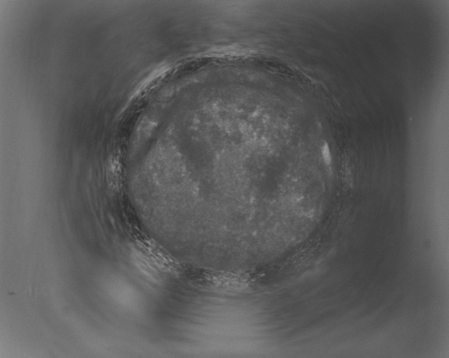 X0000076351254200610201751