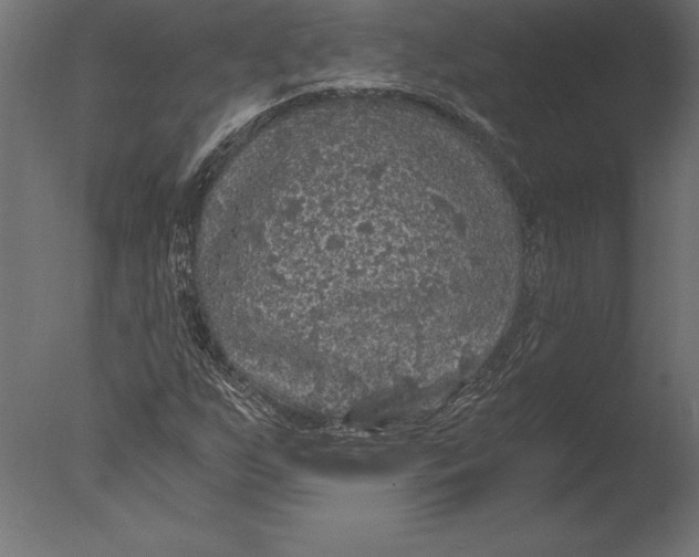 X0000076351255200610201751