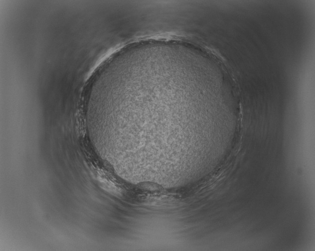 X0000076351256200610201751