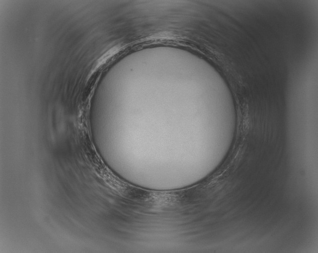 X0000076351258200610201751