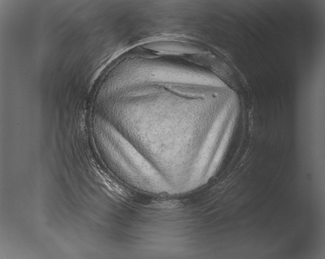 X0000076351260200610201751