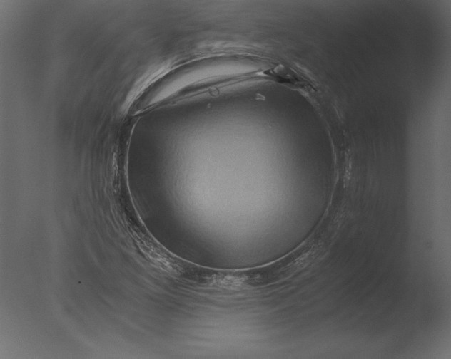 X0000076351261200610201751