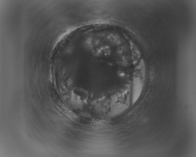 X0000076351262200610201751