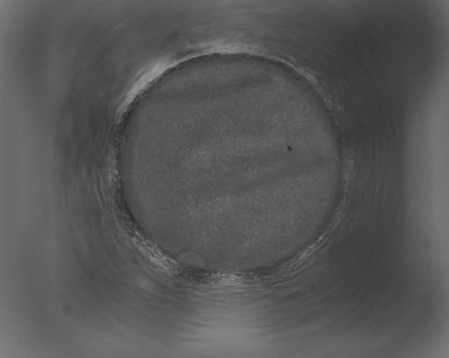 X0000076351263200610201751