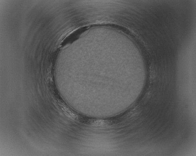 X0000076351265200610201751