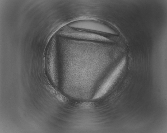 X0000076351268200610201751