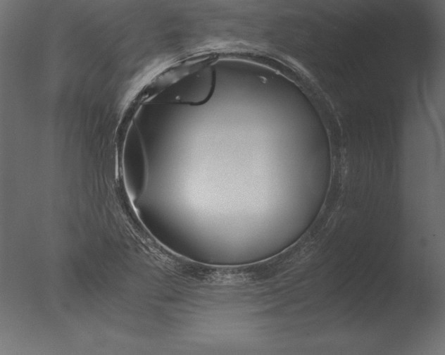 X0000076351269200610201751