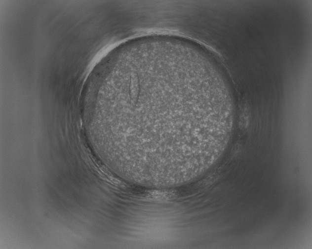 X0000076351271200610201751