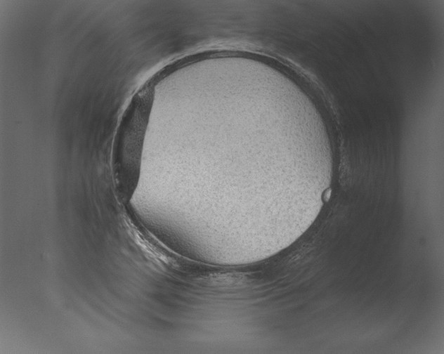 X0000076351272200610201751