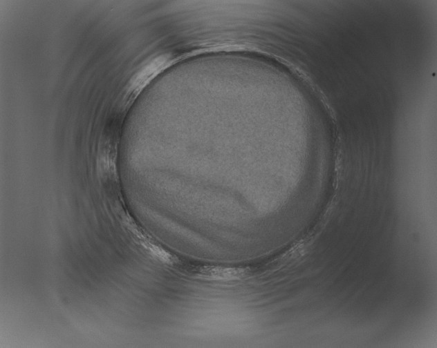 X0000076351273200610201751