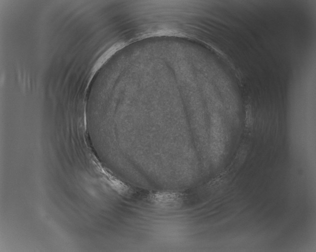 X0000076351274200610201751