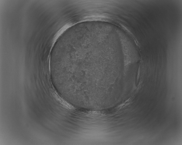 X0000076351275200610201751