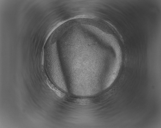 X0000076351276200610201751