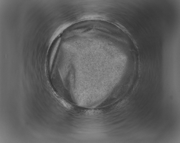 X0000076351277200610201751